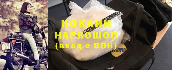 прущие грибы Строитель