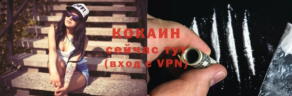 винт Вяземский