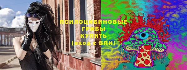 винт Вяземский