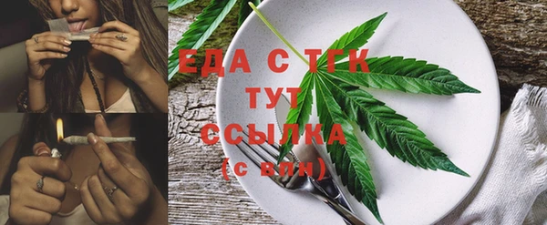 гидра Вязьма