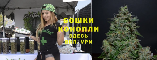 spice Володарск