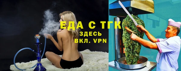 гидра Вязьма