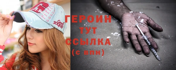 гидра Вязьма