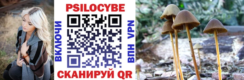 что такое   Зеленокумск  Псилоцибиновые грибы мухоморы 